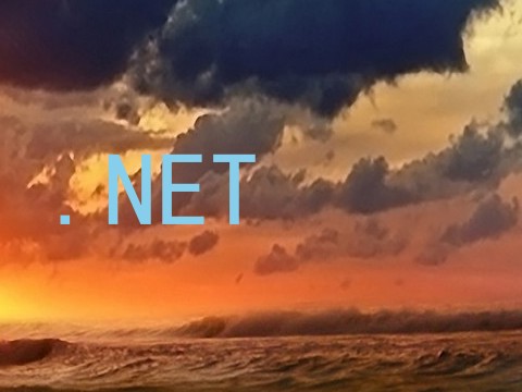 .NET