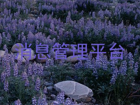消息管理平台