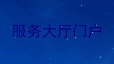 服务大厅门户