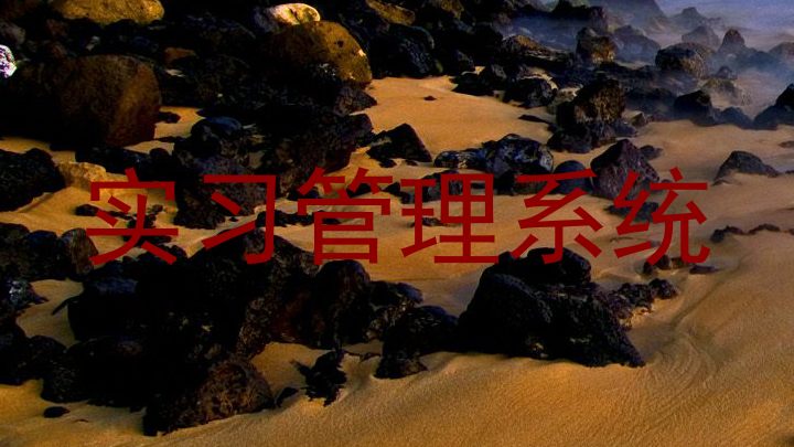 实习管理系统