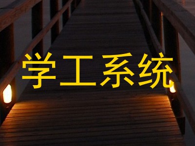 学工系统