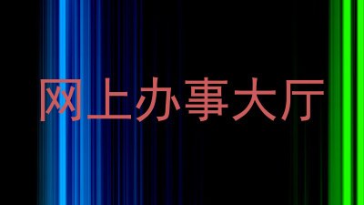 网上办事大厅