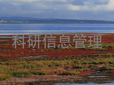 科研信息管理