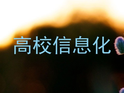 高校信息化
