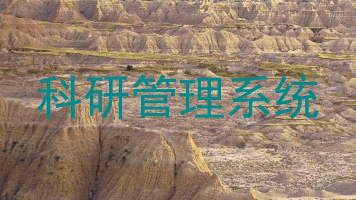 科研管理系统