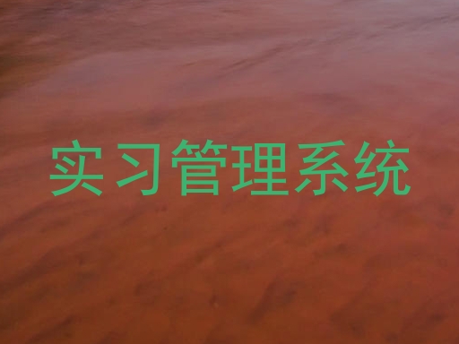 实习管理系统
