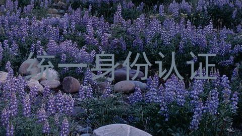 统一身份认证