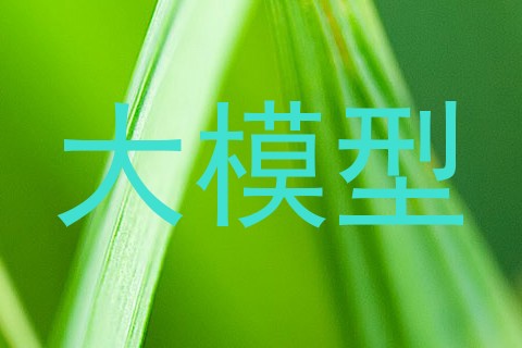 大模型