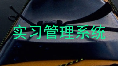 实习管理系统