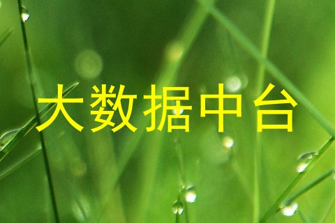 大数据中台