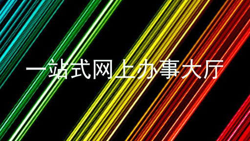 一站式网上办事大厅
