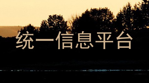 统一信息平台
