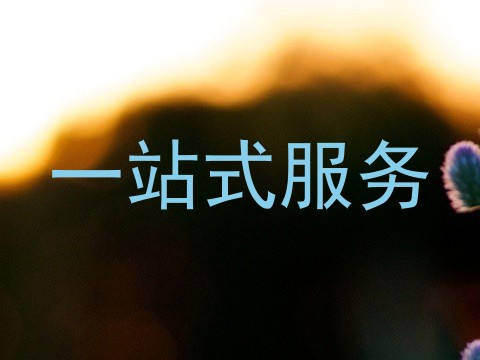 一站式服务