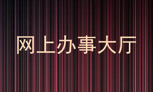 网上办事大厅