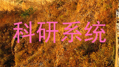 科研系统