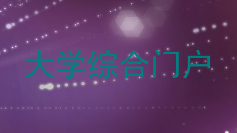 大学综合门户