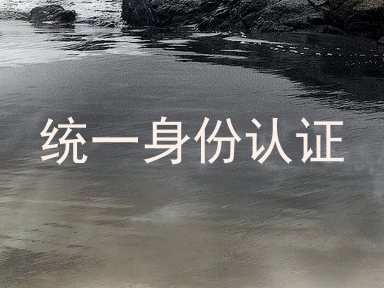 统一身份认证