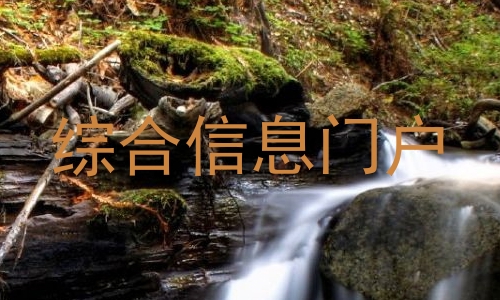 综合信息门户