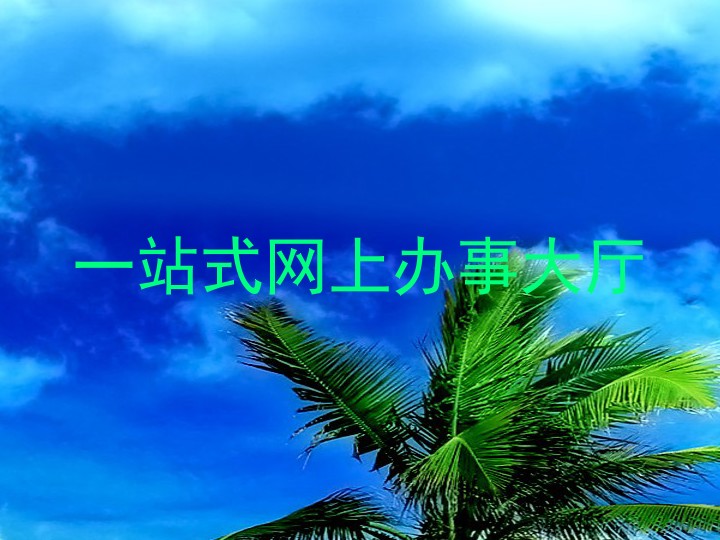 一站式网上办事大厅