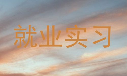 就业实习