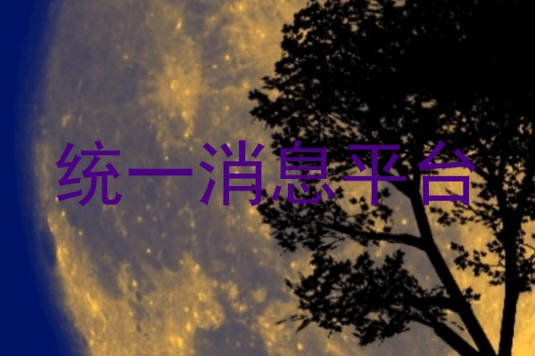 统一消息平台