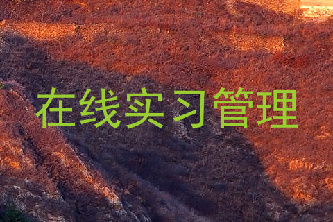 在线实习管理