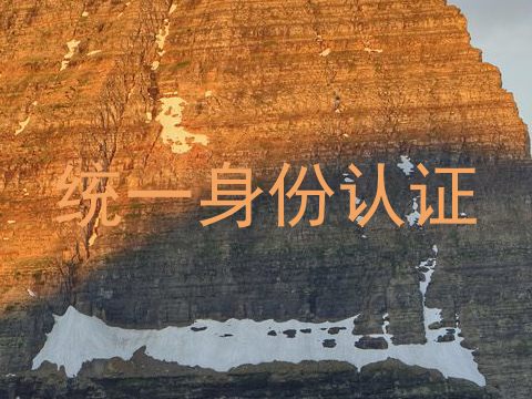 统一身份认证