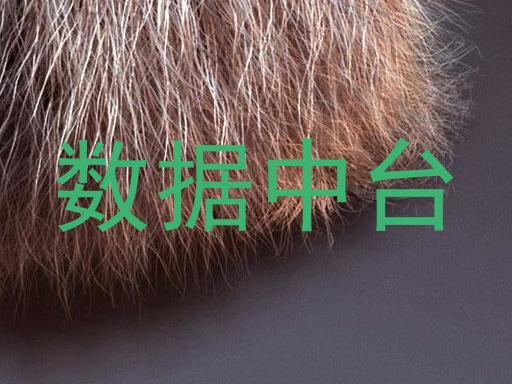 数据中台
