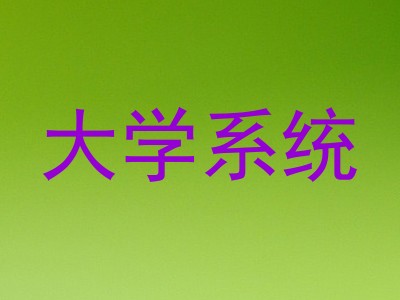 大学系统
