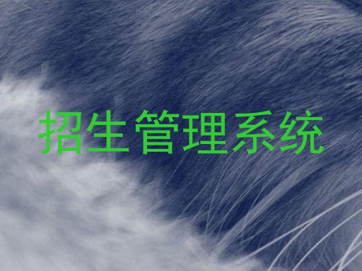 招生管理系统