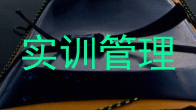 实训管理