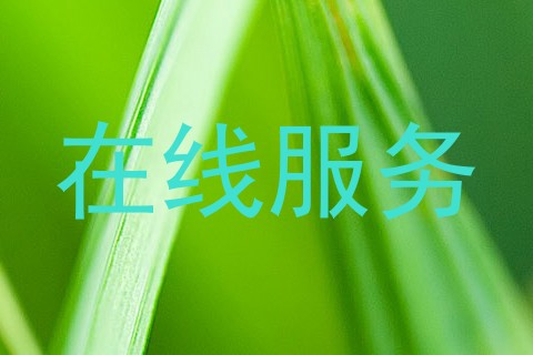 在线服务