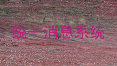 统一消息系统