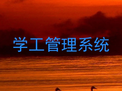 学工管理系统