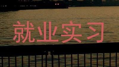 就业实习