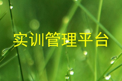 实训管理平台