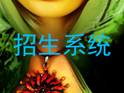 招生系统