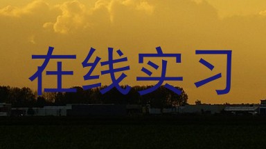 在线实习