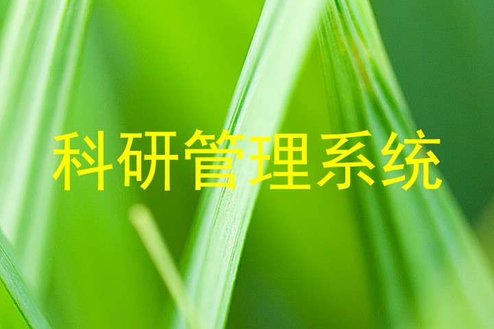 科研管理系统