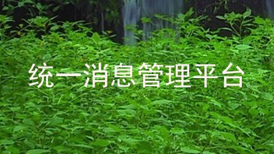 统一消息管理平台