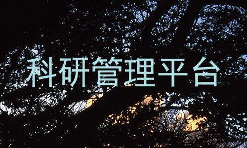 科研管理平台
