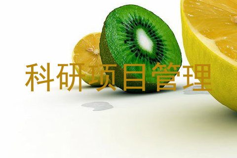 科研项目管理