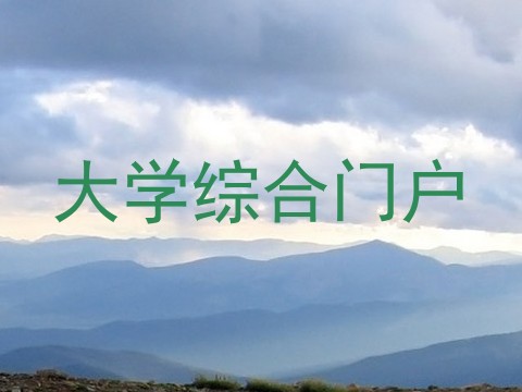 大学综合门户