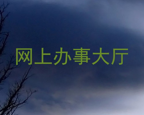 网上办事大厅