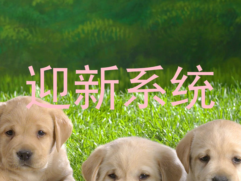 迎新系统
