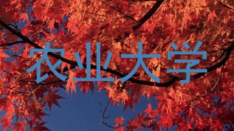 农业大学