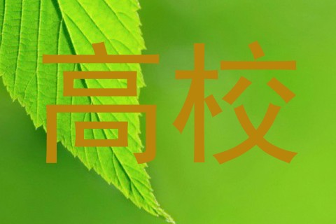 高校