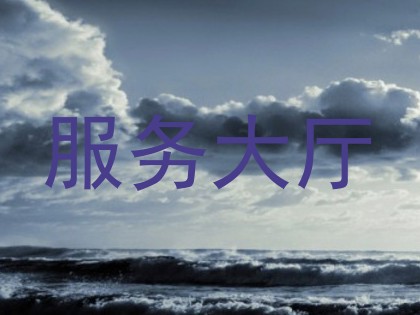 服务大厅
