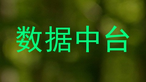 数据中台