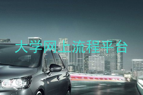 大学网上流程平台